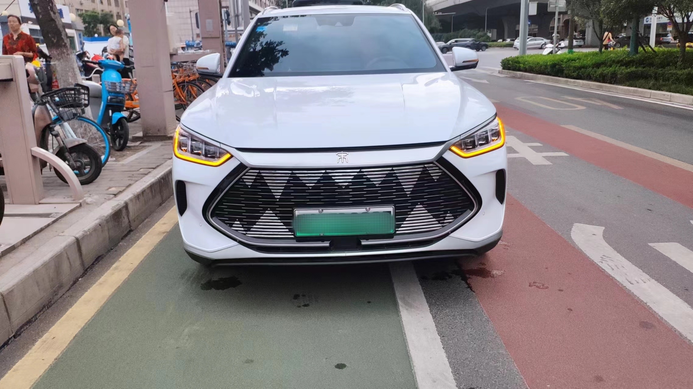 比亚迪宋PlusDmi 💪鲨鱼牙中网牙齿电镀装饰